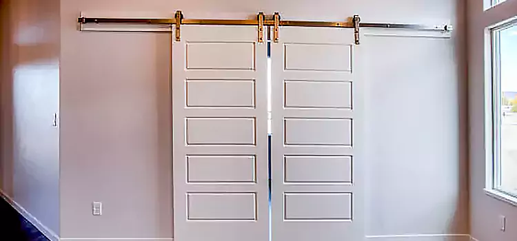 Glass Barn Door with Installation Hardware Kit Cedar Rapids